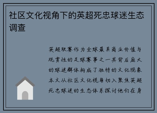 社区文化视角下的英超死忠球迷生态调查